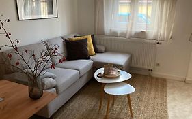 FeWo Ostrau, neues Bad, neue Küche, zentral, ruhig, Sandstein-Ferien, Terrasse